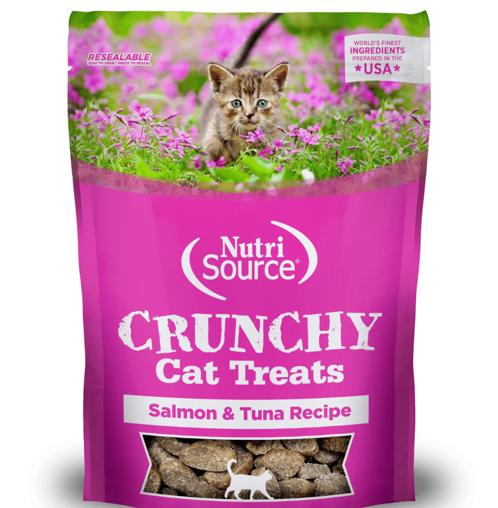 Nutri Source Crunchy Dry Cats Treats | Salmon & Tuna Recipe