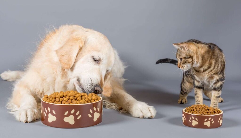 Pet Food & Dog Food