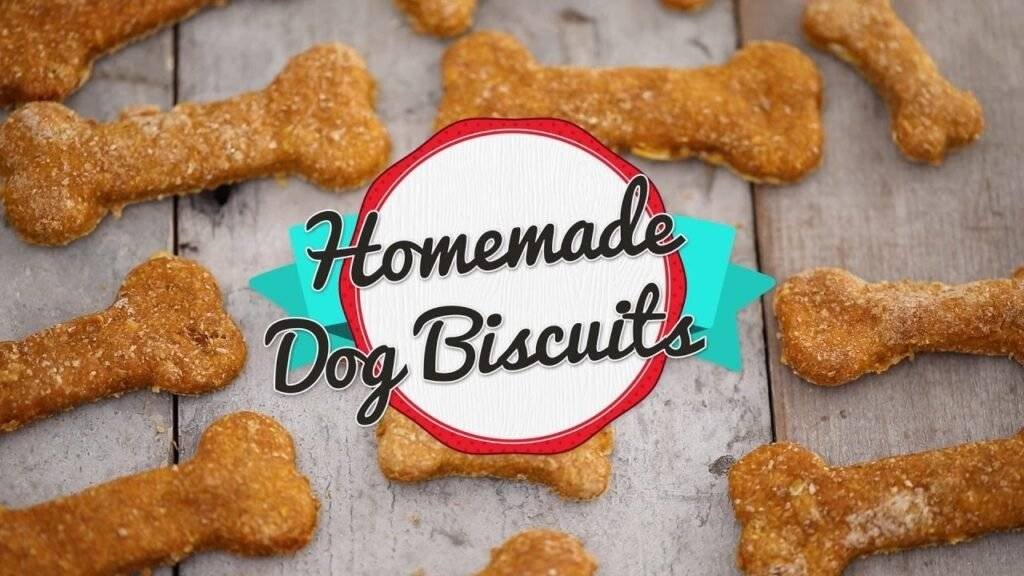 homemade dog biscuits