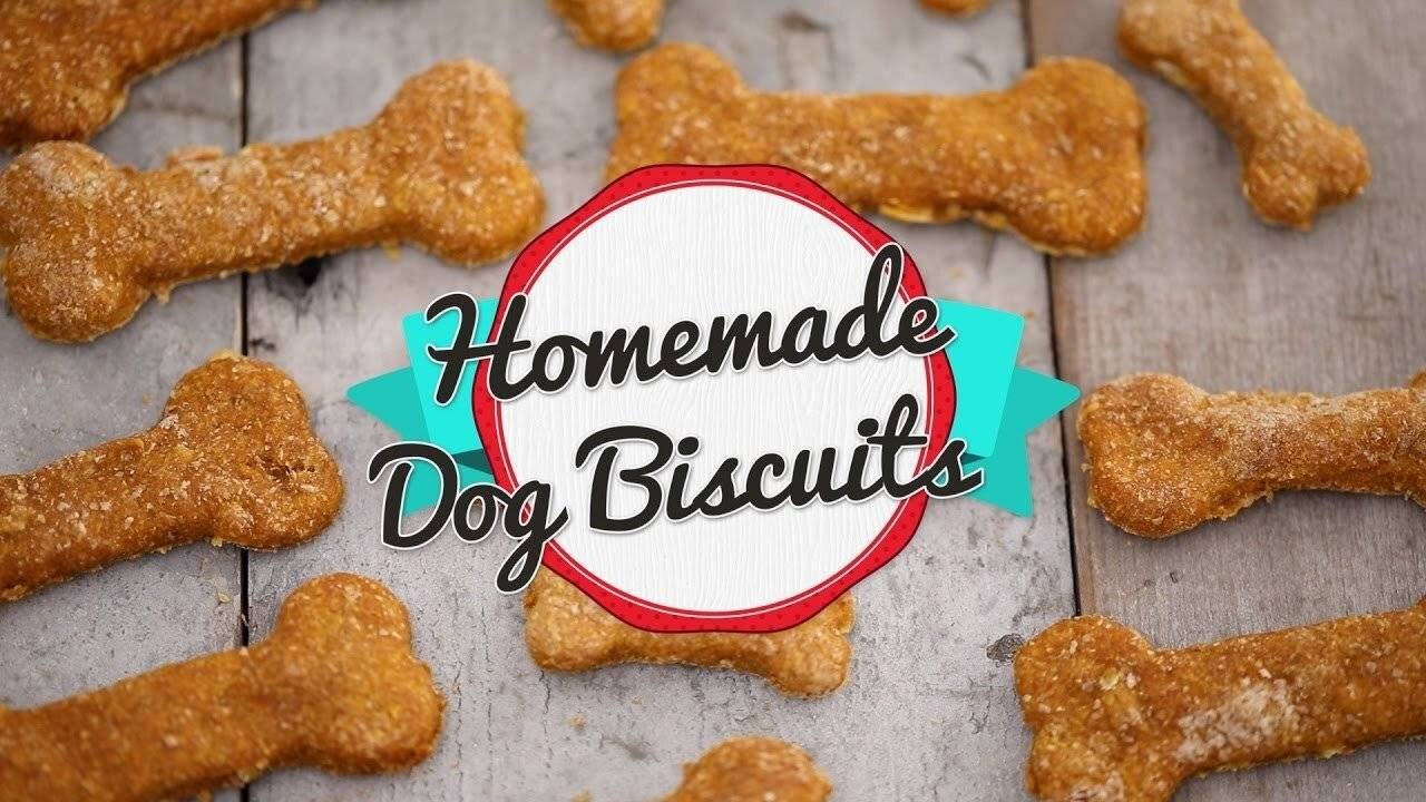 homemade dog biscuits